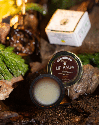 Coffee Arabica Lip Balm
