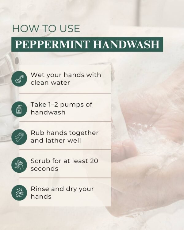 Peppermint Hand Wash - Image 3