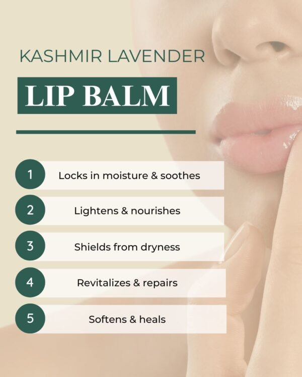 Kashmir Lavender Lip Balm - Image 2