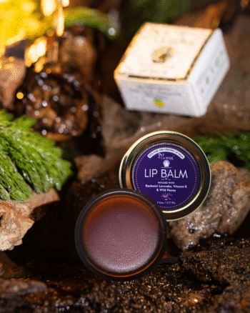 Kashmir Lavender Lip Balm